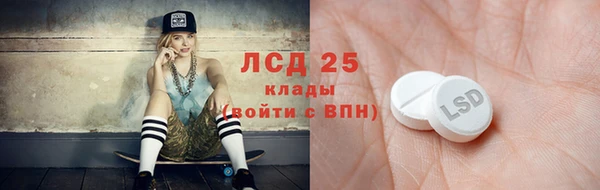 прущие грибы Баксан