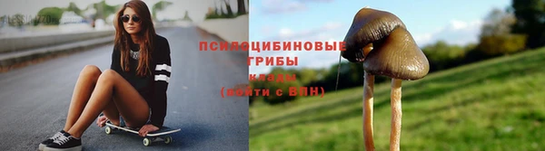 дживик Богородицк