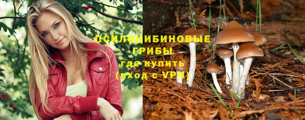 спайс Бородино