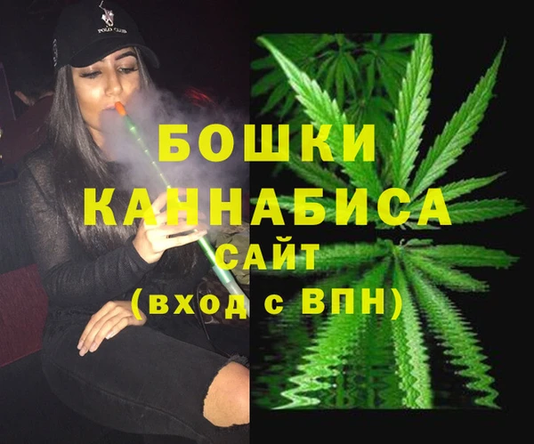 дживик Богородицк
