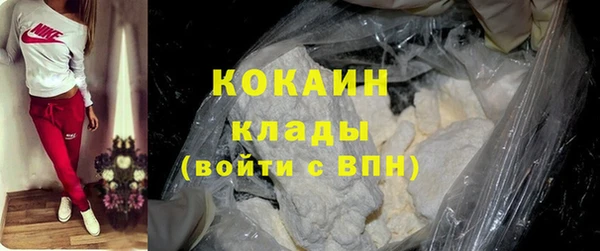 дживик Богородицк
