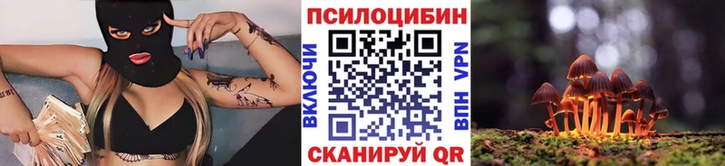 хочу наркоту  Верхний Тагил  Галлюциногенные грибы мухоморы 